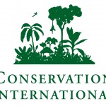 CI LOGO COLOR