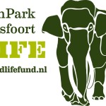 Logo_DPAWFmet link