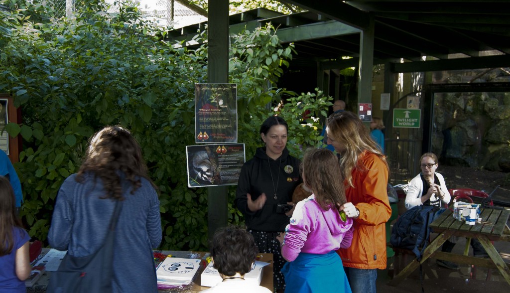 AnnaExplainingThingsatWomad