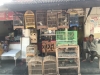 Birdmarkets_Probolinggo_Nijmanetal_2018