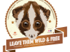 Slow loris Badges