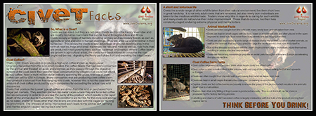 Civet-Fact-Sheet