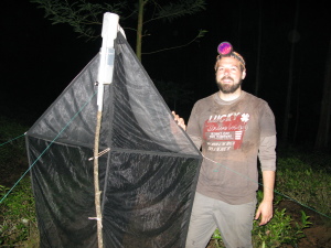 Francis fiddling with a malaise trap. 