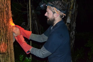 Releasing one of our lorises after a health check