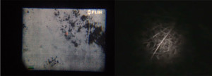 View from the thermal camera vs our normal view with red light headtorch.
