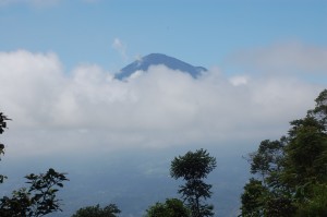 - The view from the research area of our lorises