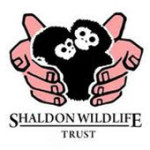 shaldon-logo